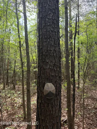 $60,900 | Old Jackson Road, De Kalb, MS 39328