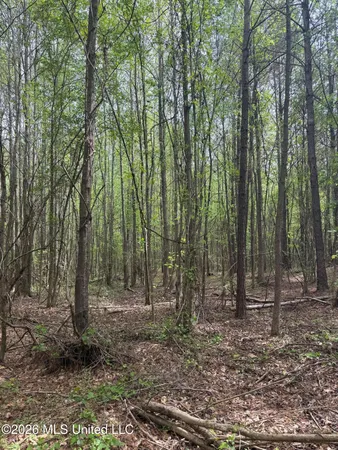 $60,900 | Old Jackson Road, De Kalb, MS 39328