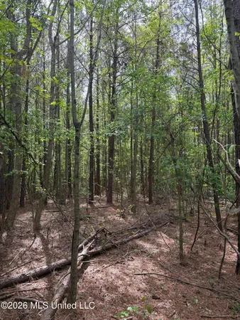$60,900 | Old Jackson Road, De Kalb, MS 39328