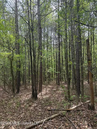 $60,900 | Old Jackson Road, De Kalb, MS 39328