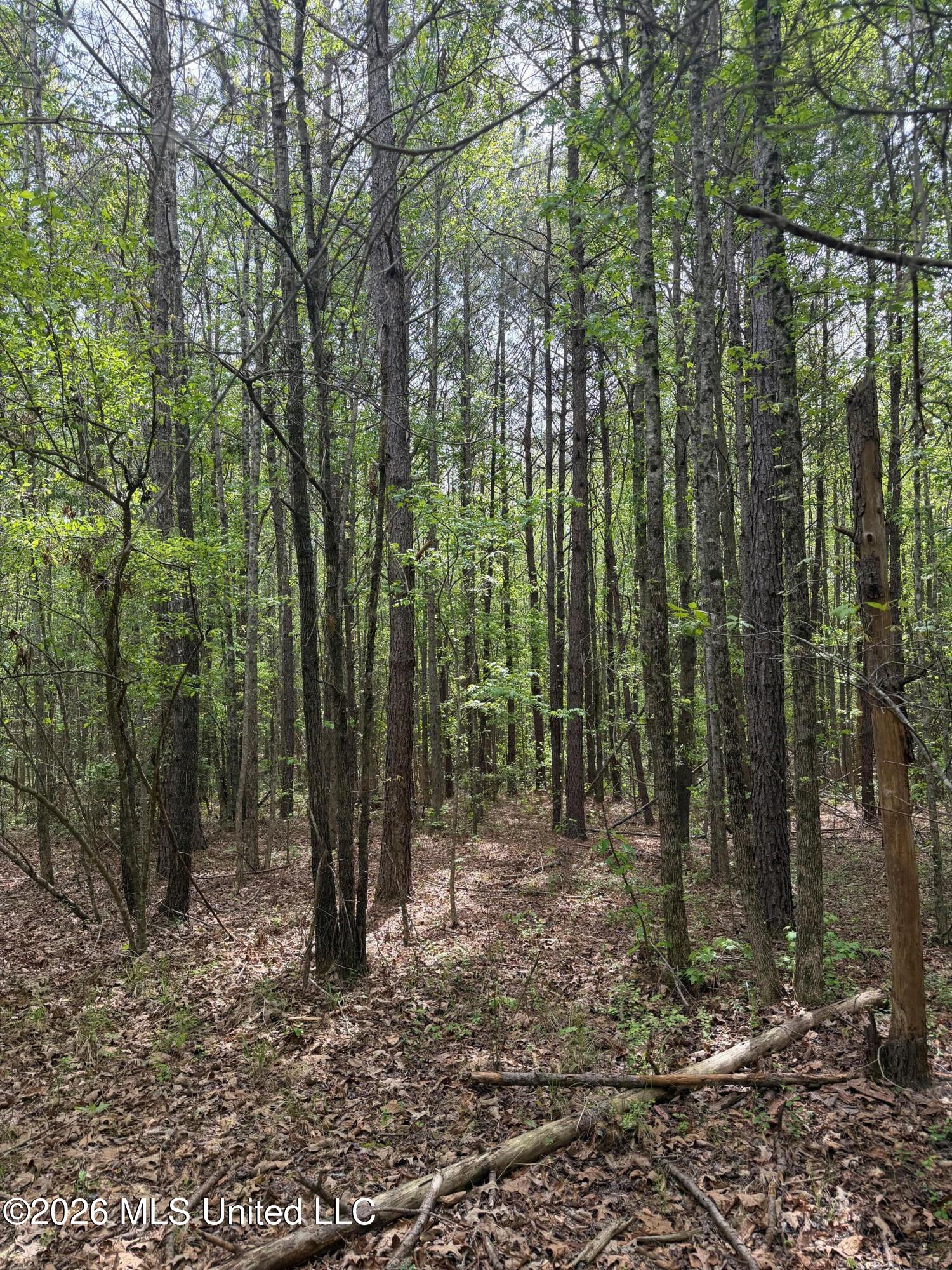 Old Jackson Road De Kalb, MS 39328 - Photo 8 of 17 Photo Apr 06 2026, 11 00 26 AM