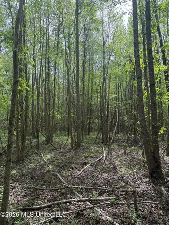 $60,900 | Old Jackson Road, De Kalb, MS 39328