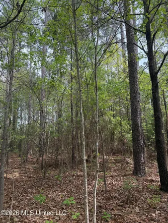 $60,900 | Old Jackson Road, De Kalb, MS 39328