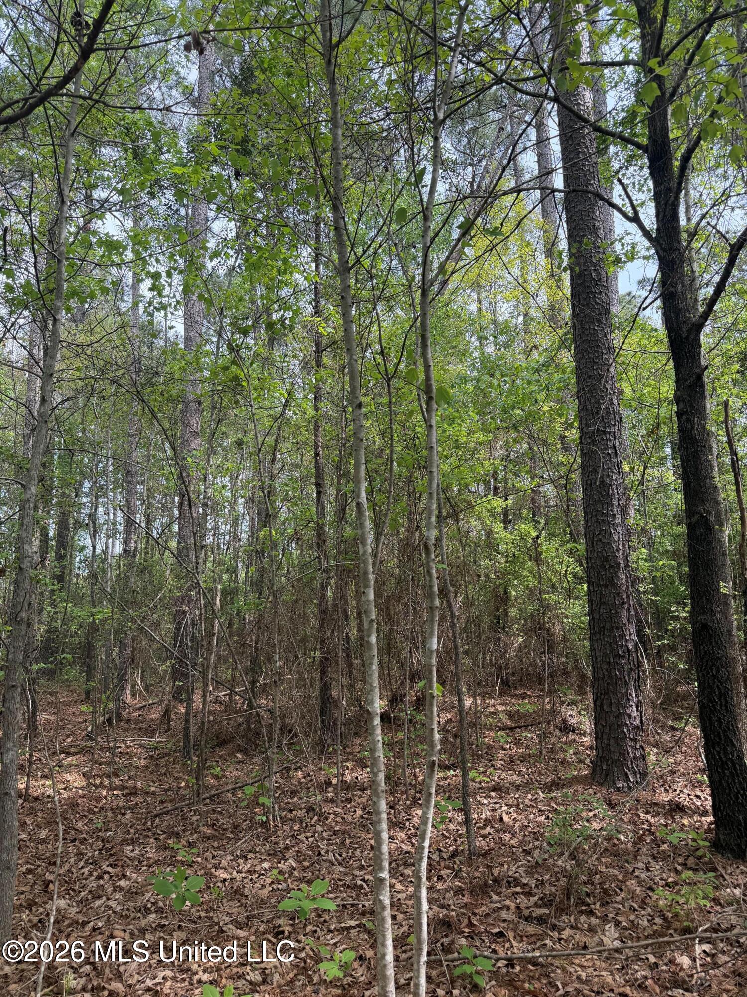 Old Jackson Road De Kalb, MS 39328 - Photo 10 of 17 Photo Apr 06 2026, 11 03 12 AM