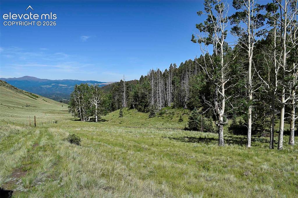 0 Bear Cat Road Guffey, CO 80820 - Photo 11 of 40