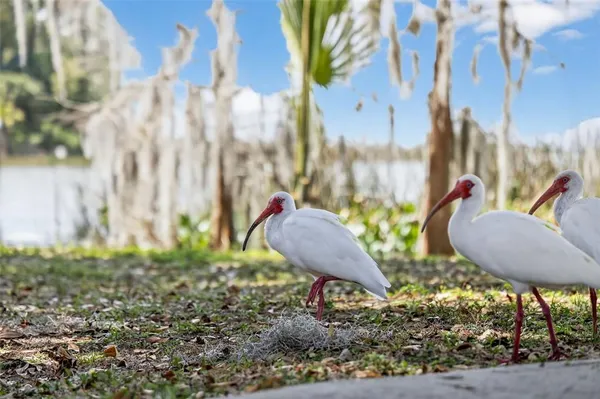 $439,999 | 1120 Gardner Street, Mount Dora, FL 32757