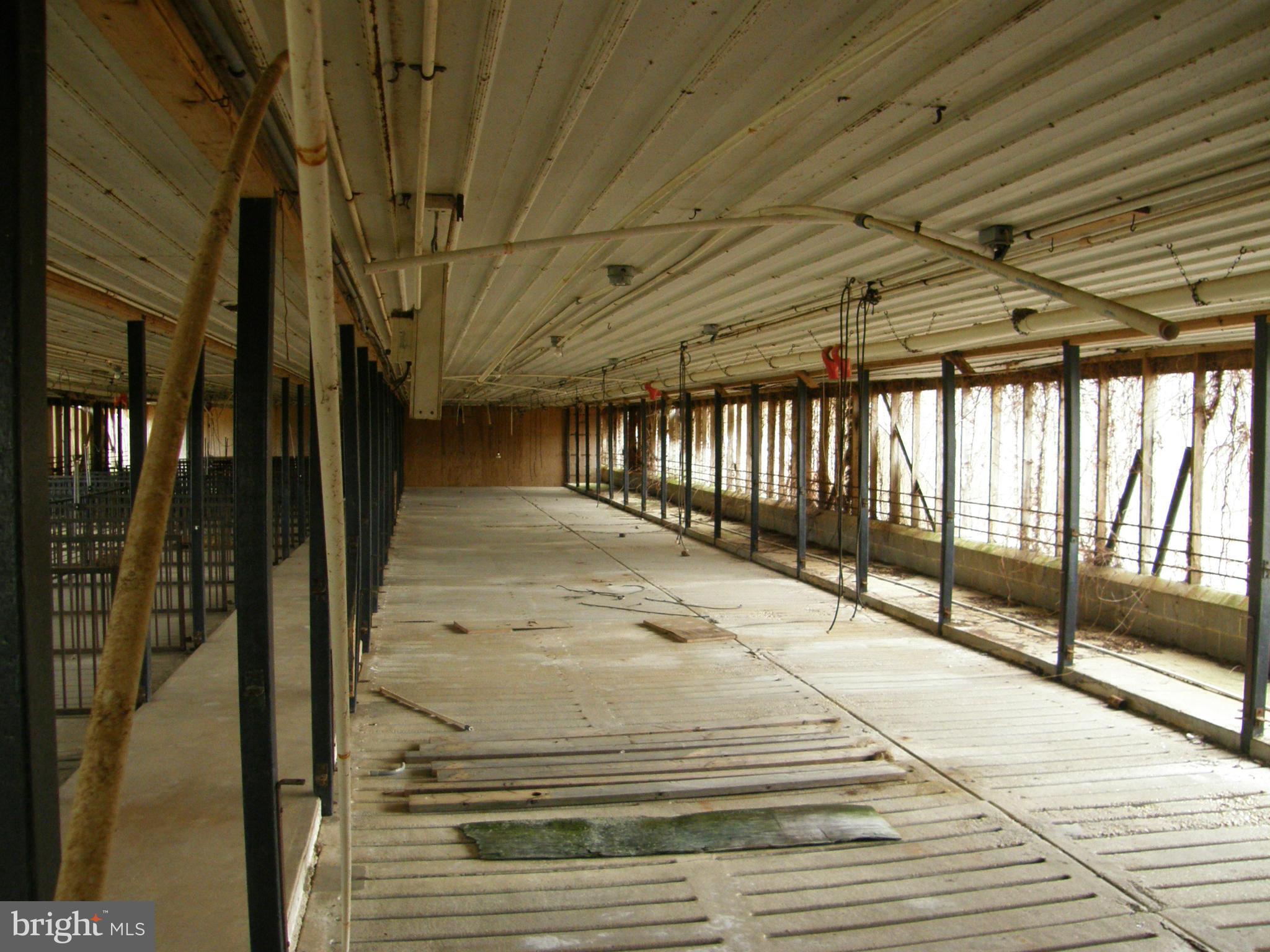 Nagel Road Federalsburg, MD 21632 - Photo 13 of 16 Interior (General)