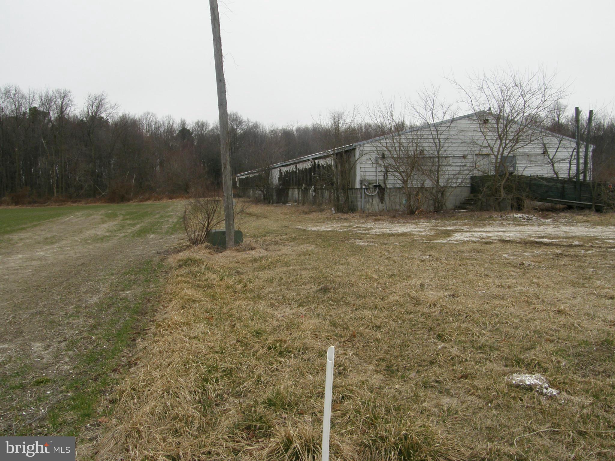 Nagel Road Federalsburg, MD 21632 - Photo 16 of 16 Exterior (General)