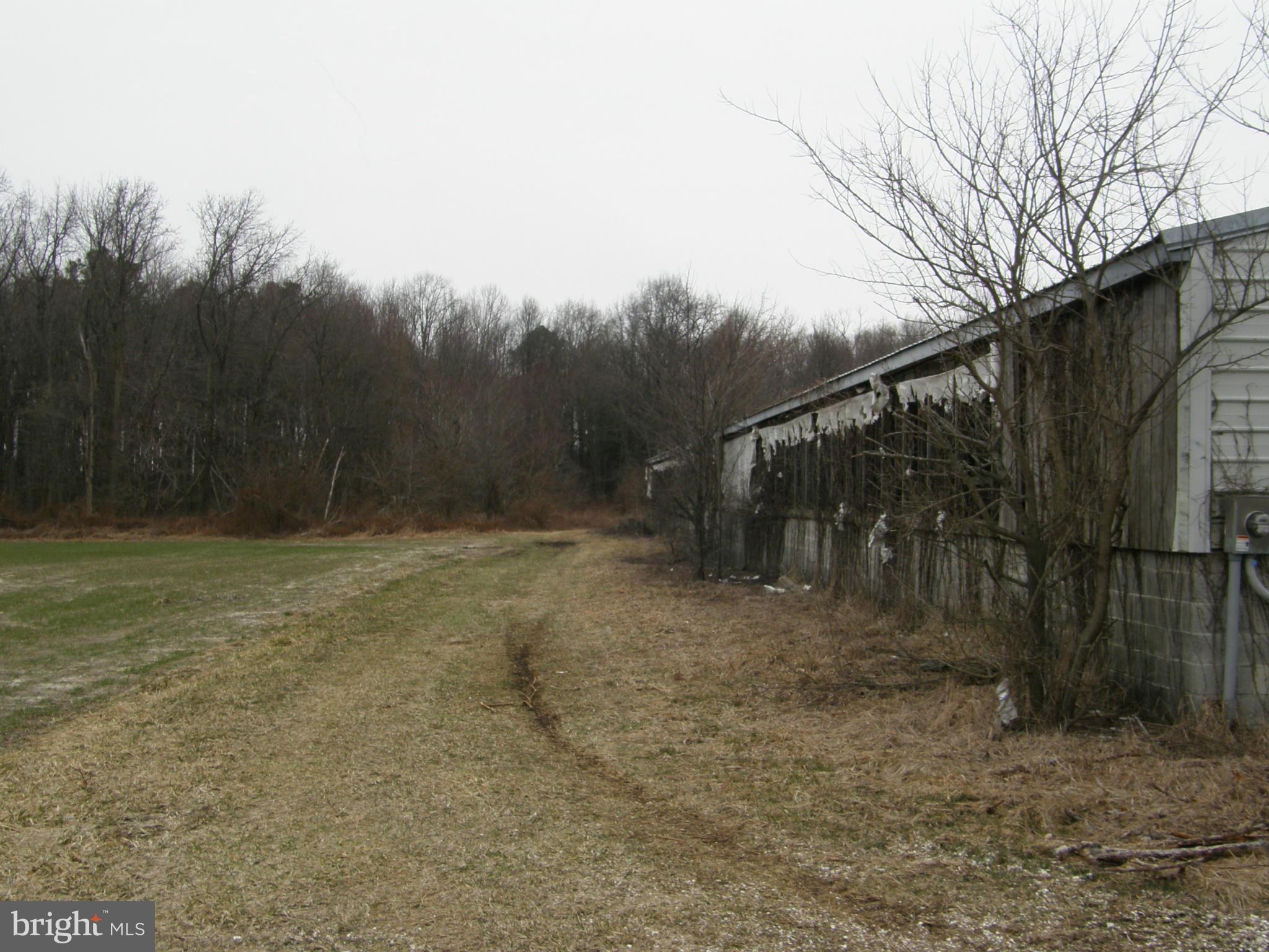 Nagel Road Federalsburg, MD 21632 - Photo 7 of 16 Exterior (General)