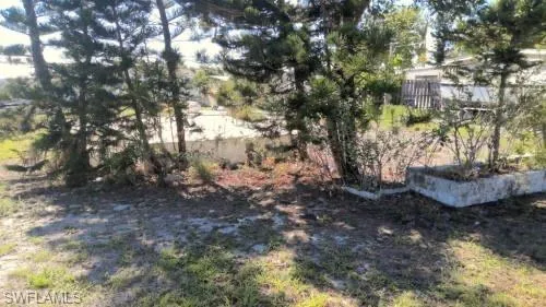 a view of a backyard with large trees