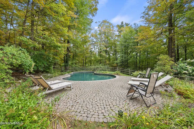 a view of a field with plants and trees