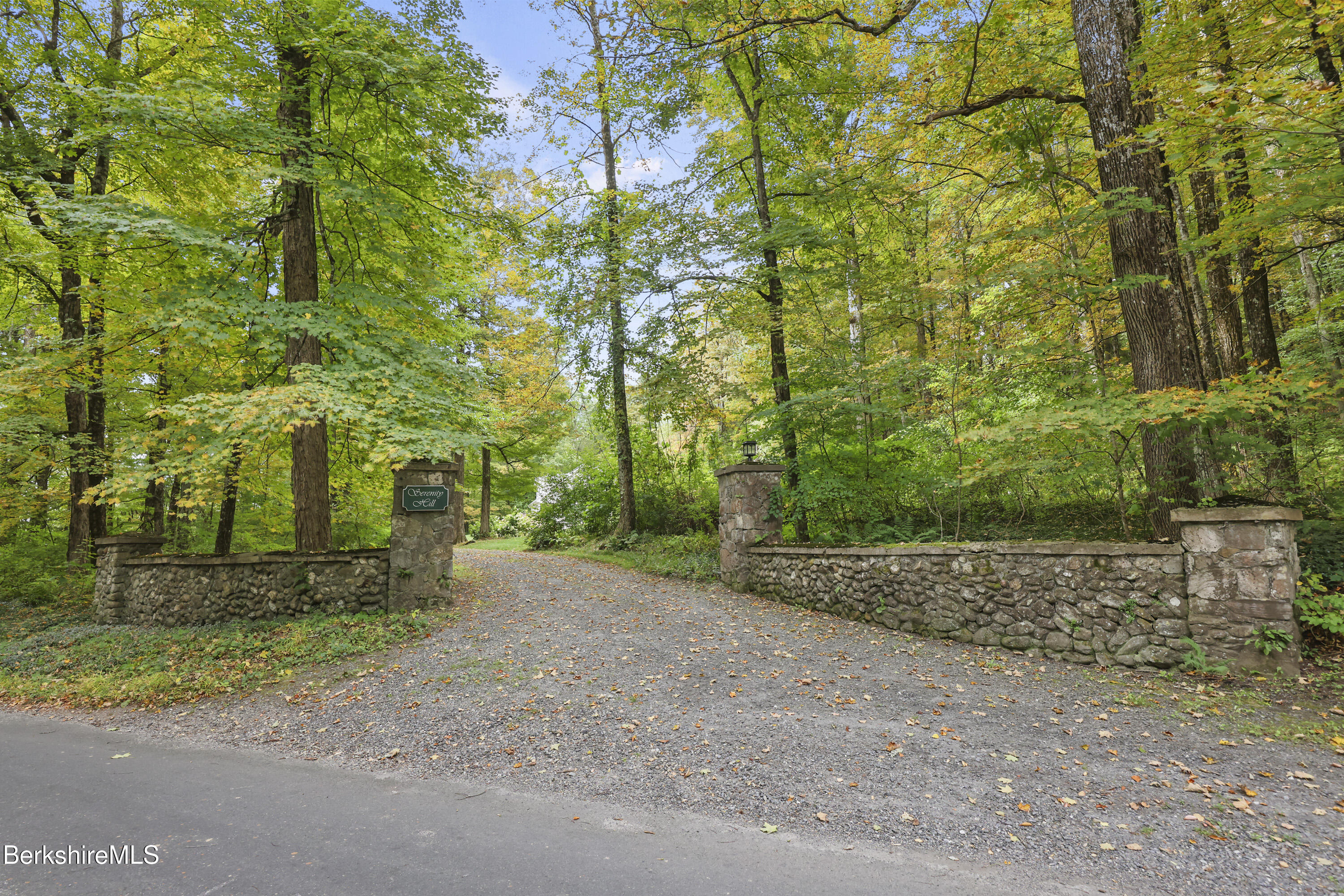 905 W Road Sheffield, MA 01230 - Photo 60 of 60 a view of a field with plants and trees