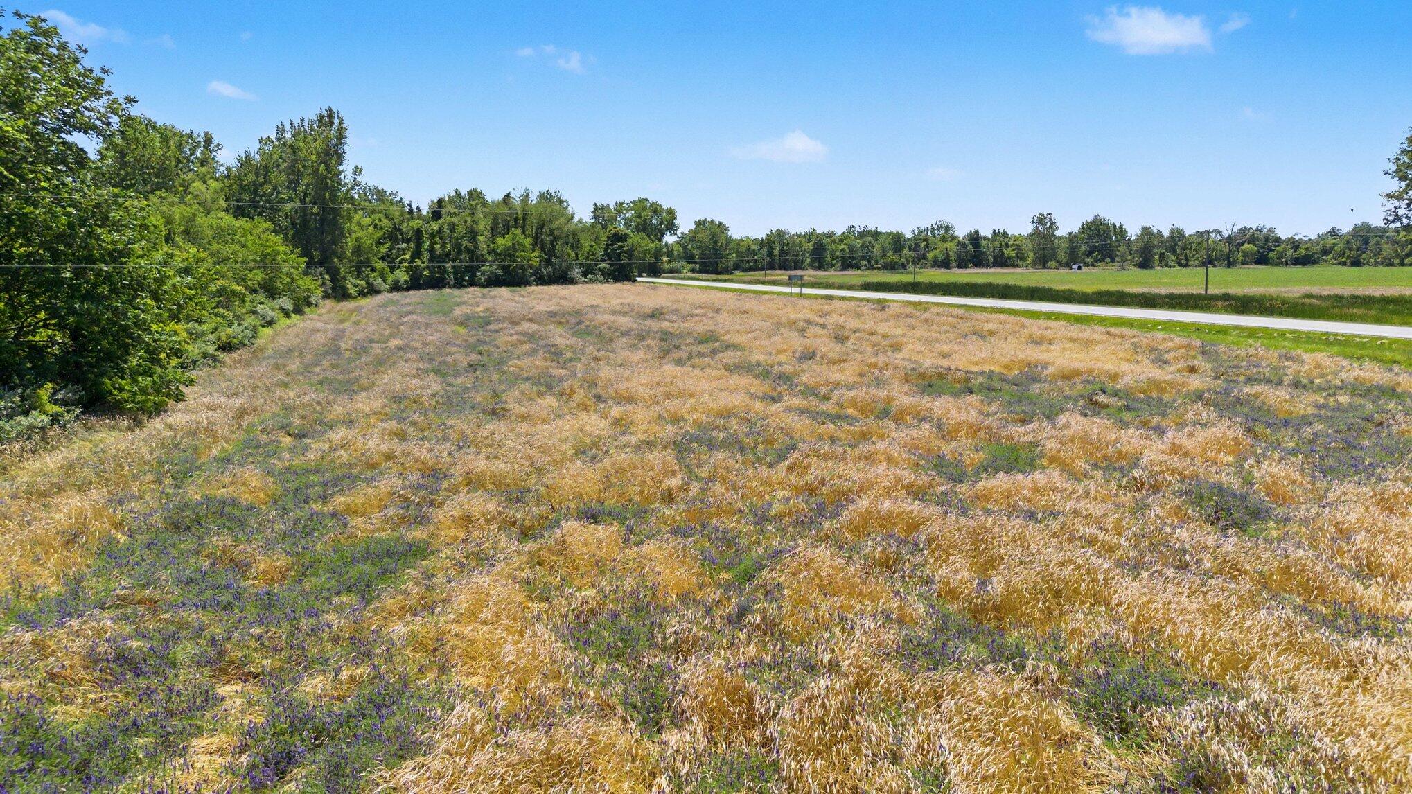 Vl Meadowbrook Road Eau Claire, MI 49111 - Photo 6 of 21 004_file_4064