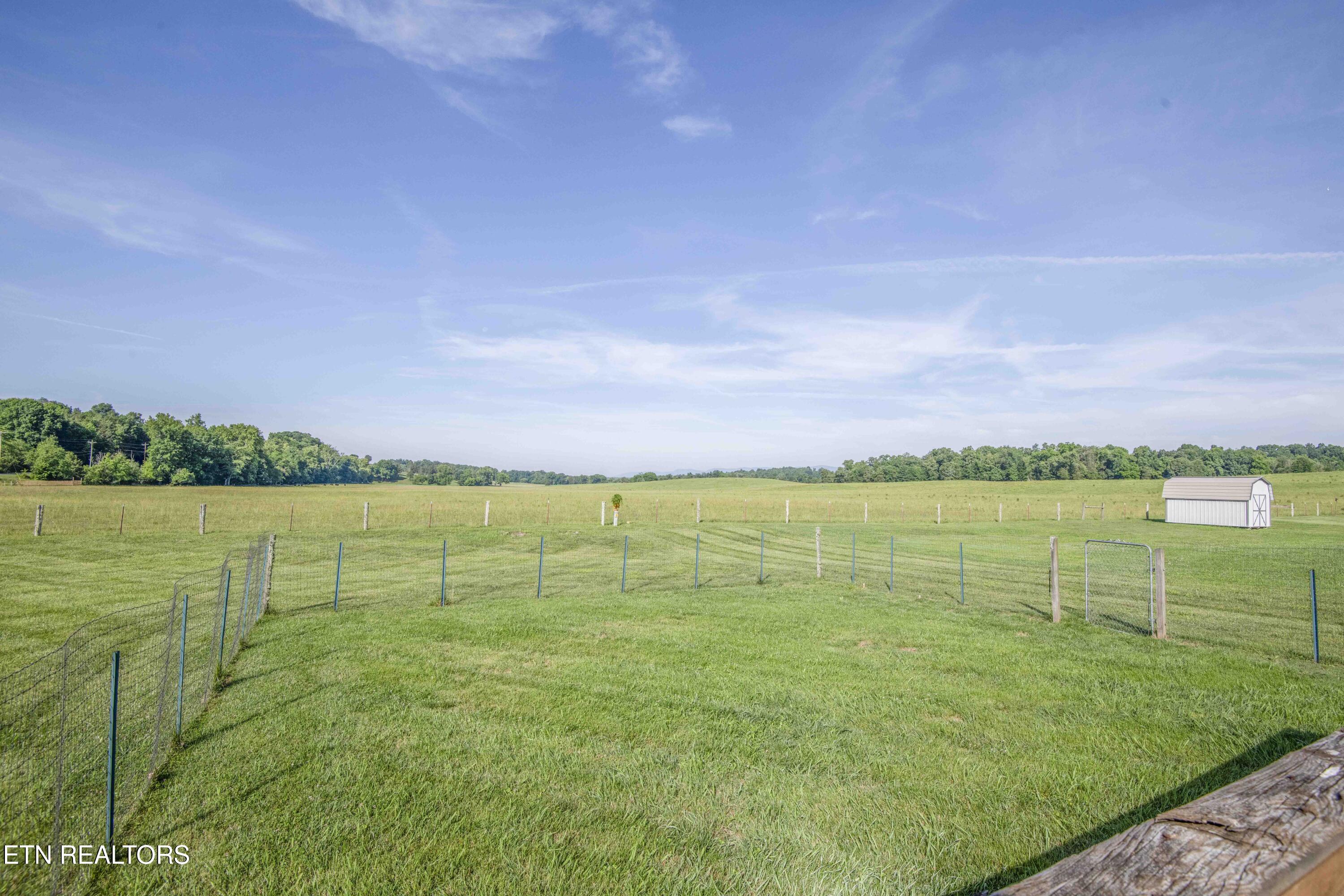 101 Big Valley Road Andersonville, TN 37705 - Photo 49 of 55 yard 11_1