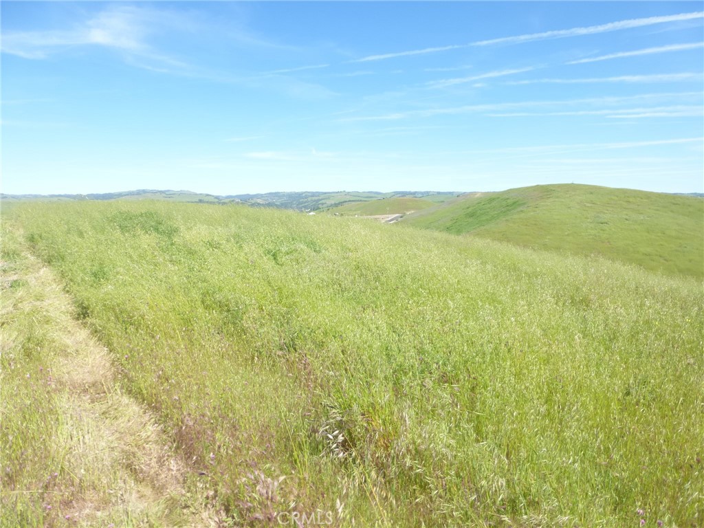 0 Douglas Road San Miguel, CA 93451 - Photo 42 of 42
