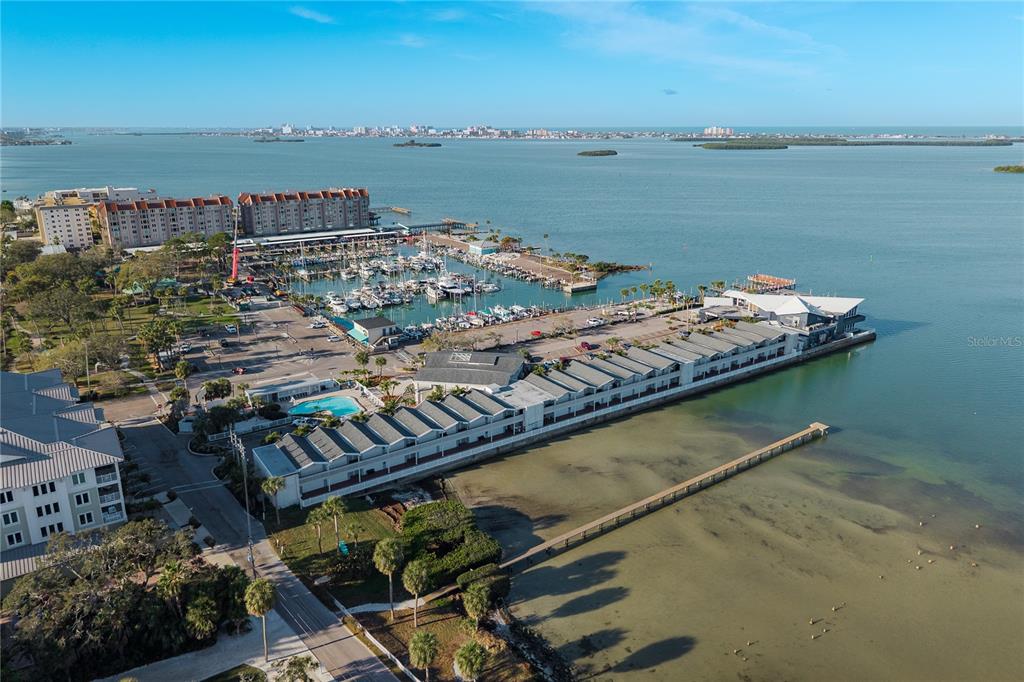 950 Broadway, Unit 103 Dunedin, FL 34698 - Photo 44 of 55
