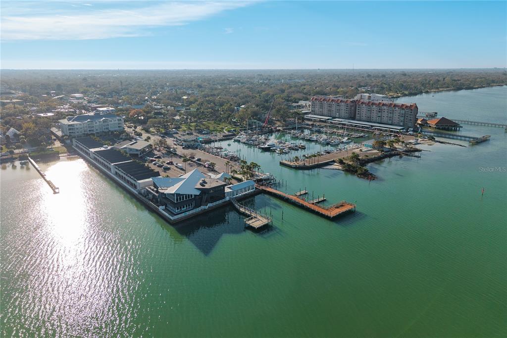 950 Broadway, Unit 103 Dunedin, FL 34698 - Photo 45 of 55
