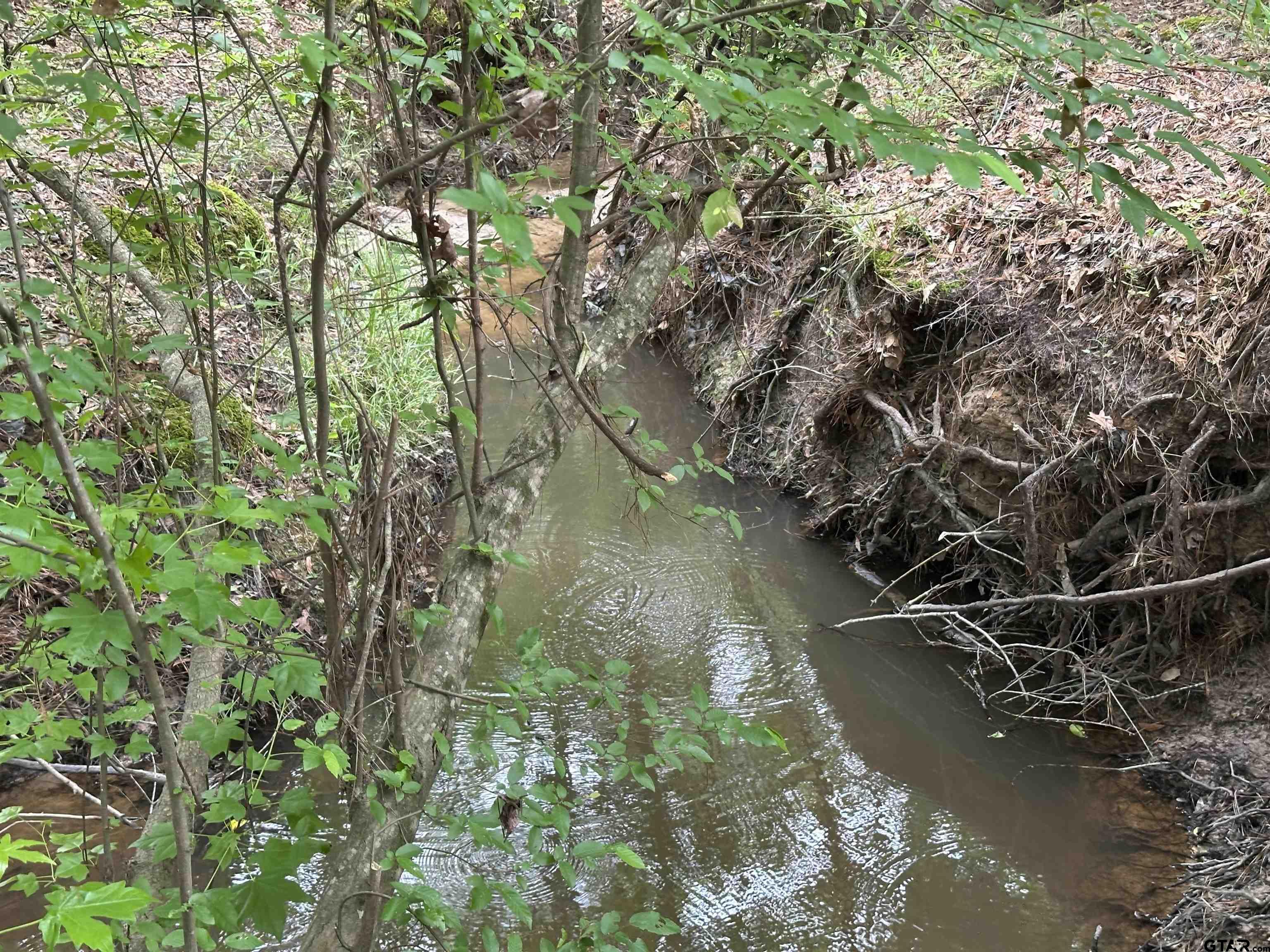 Tbd Sand Road Lufkin, TX 75904 - Photo 23 of 27 a view of lake