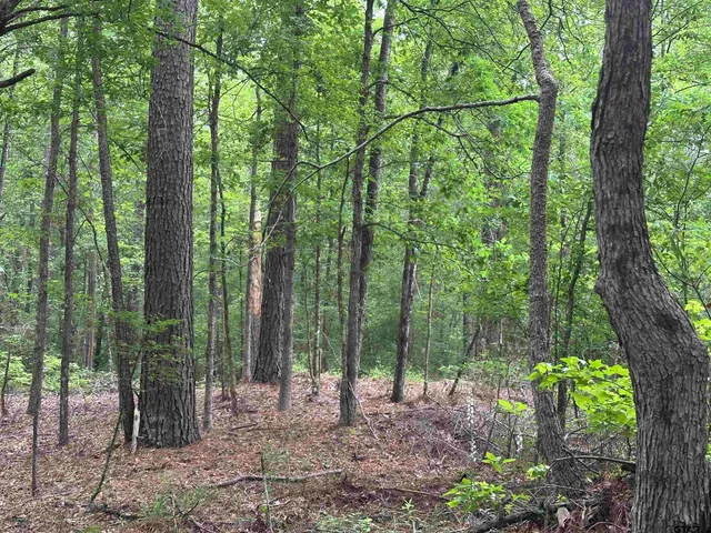 a view of a wooden house with a yard