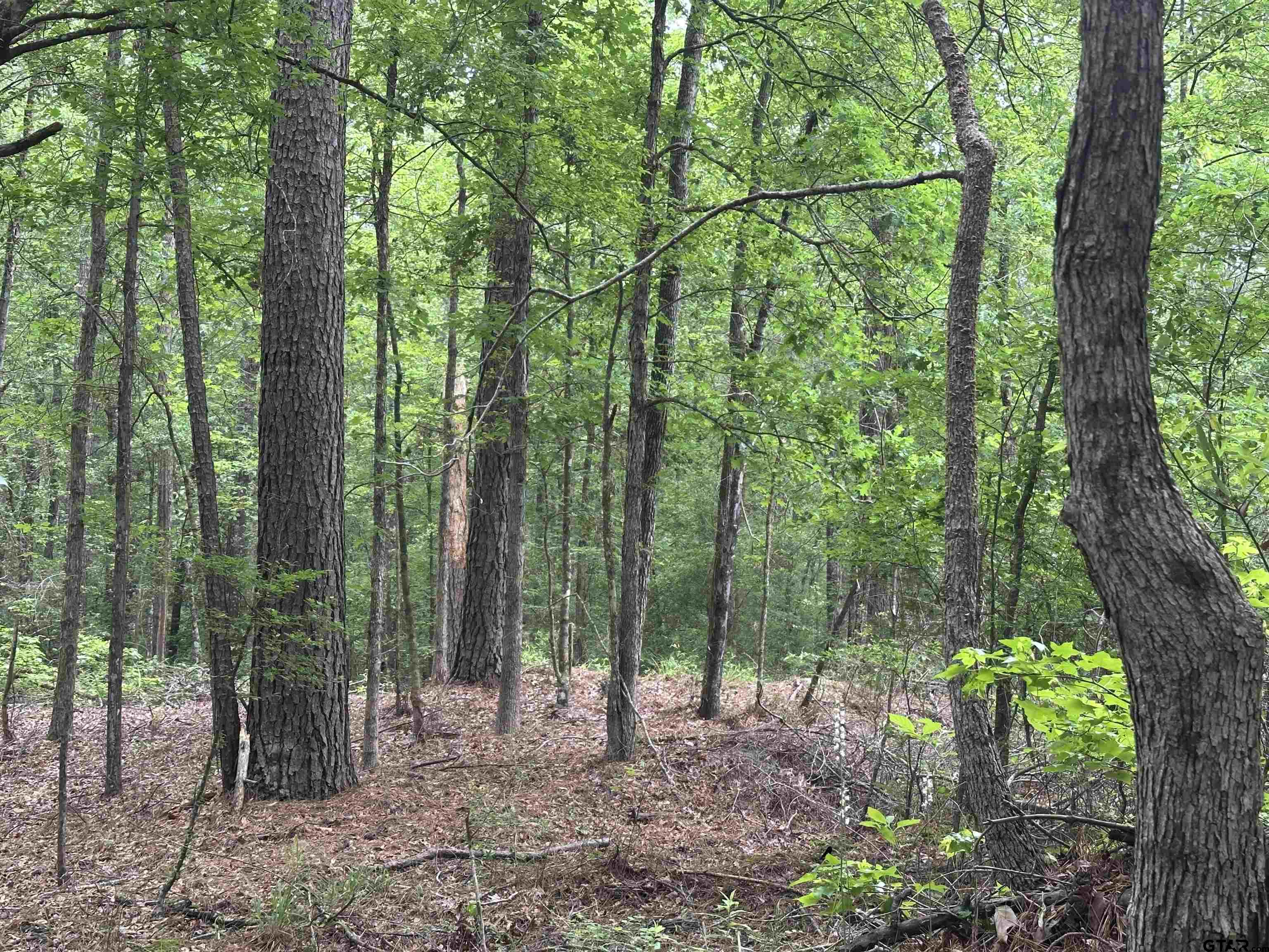 Tbd Sand Road Lufkin, TX 75904 - Photo 24 of 27 a view of outdoor space and garden