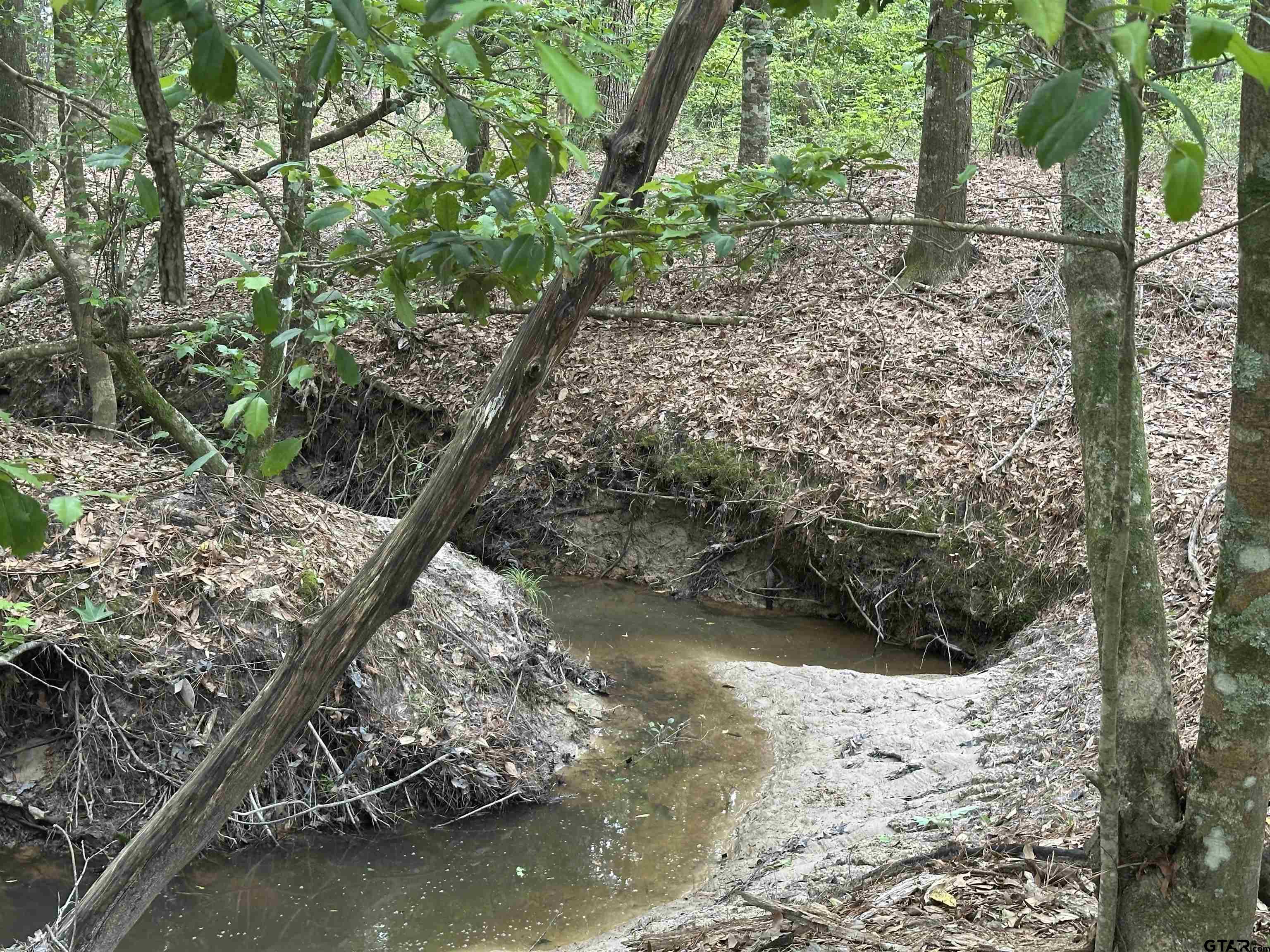 Tbd Sand Road Lufkin, TX 75904 - Photo 25 of 27 a view of a wooden house with a yard
