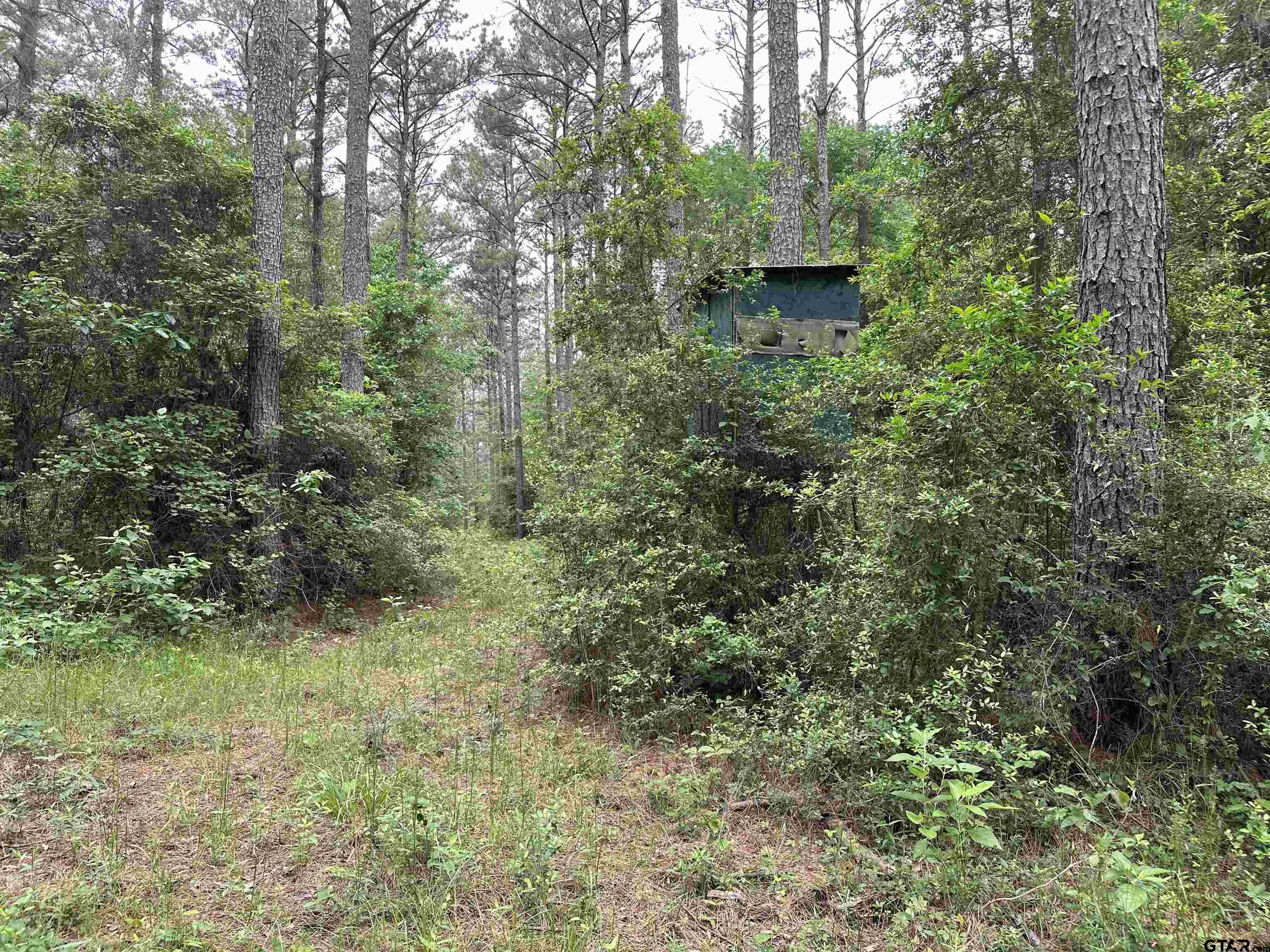Tbd Sand Road Lufkin, TX 75904 - Photo 10 of 27 a view of a house with a yard