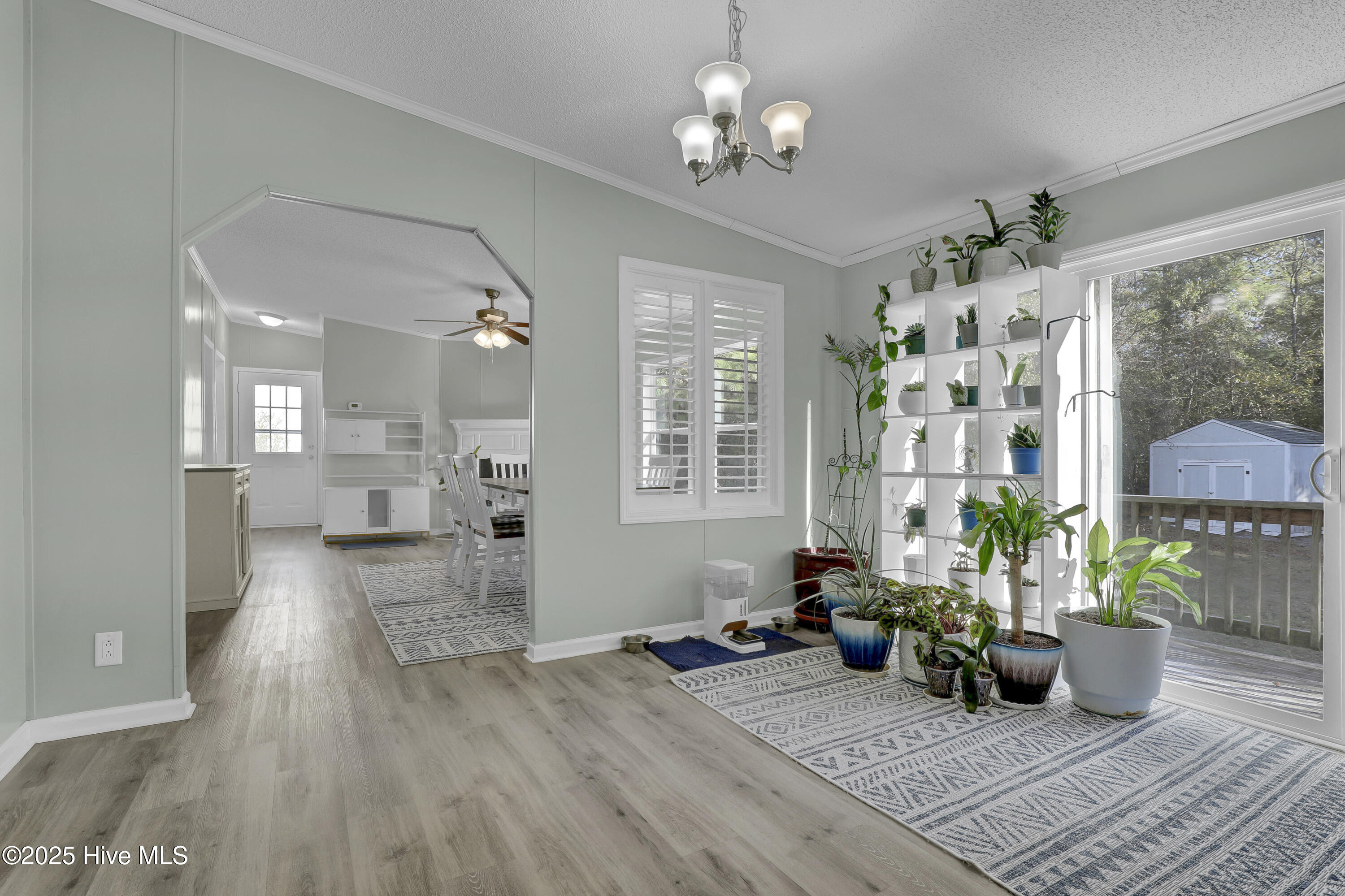 151 Shelley Road Hampstead, NC 28443 - Photo 12 of 45 6G8A2080