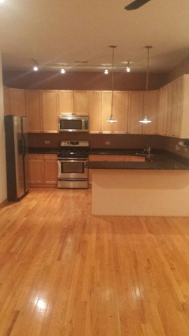 2136 West Monroe Street, Unit 201 Chicago, IL 60612 - Photo 11 of 11