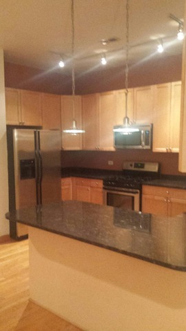 2136 West Monroe Street, Unit 201 Chicago, IL 60612 - Photo 3 of 11