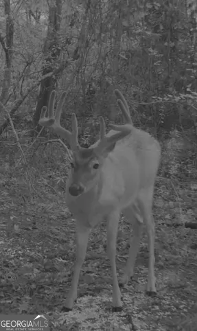 a close view of a shower in a yard