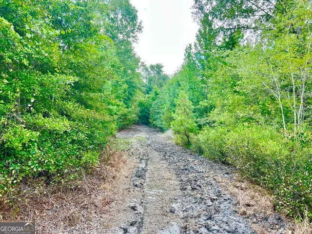 a view of swimming pool with lawn chairs and plants