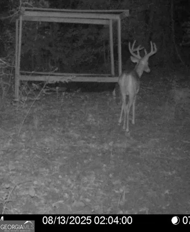 a view of a green field with lots of bushes