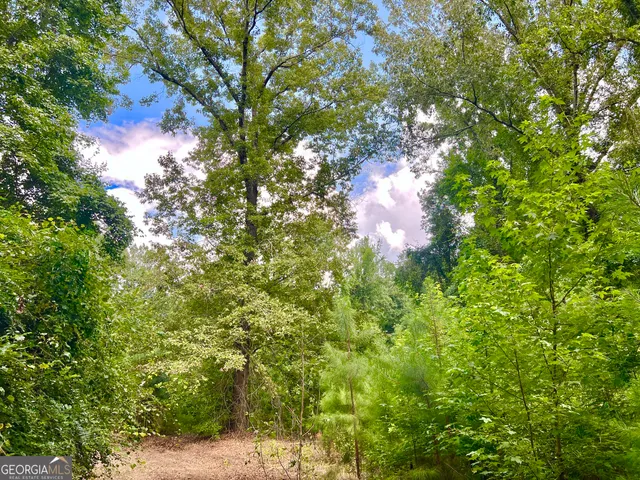 an aerial view of residential house with outdoor space