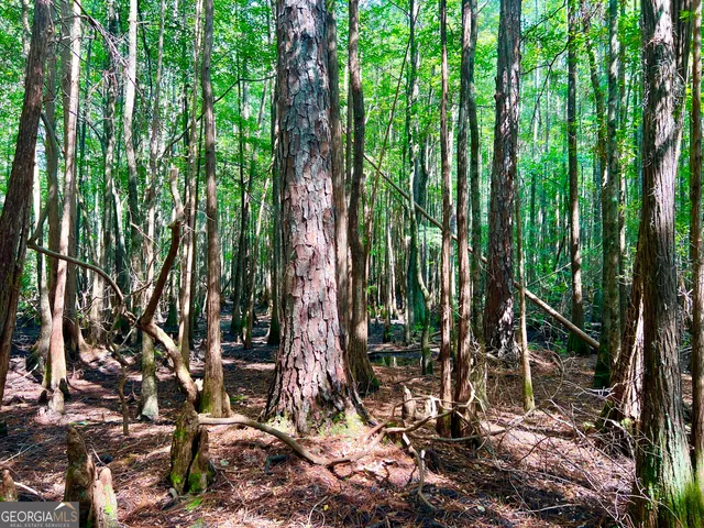 an aerial view of residential house with outdoor space and trees all around