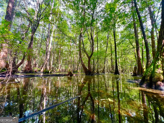 a view of swimming pool and trees