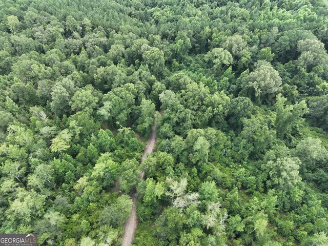 a backyard of a house with lots of trees