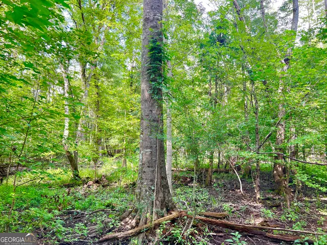 $375,000 | 0 Abbeville Highway, Pineview, GA 31071