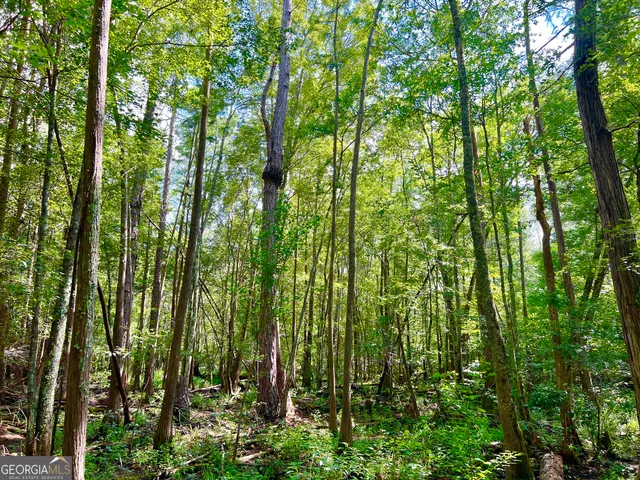 $375,000 | 0 Abbeville Highway, Pineview, GA 31071