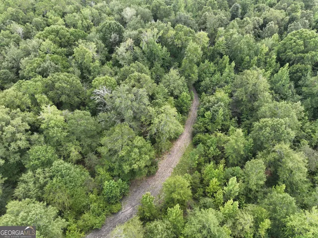 an aerial view of a forest with houses