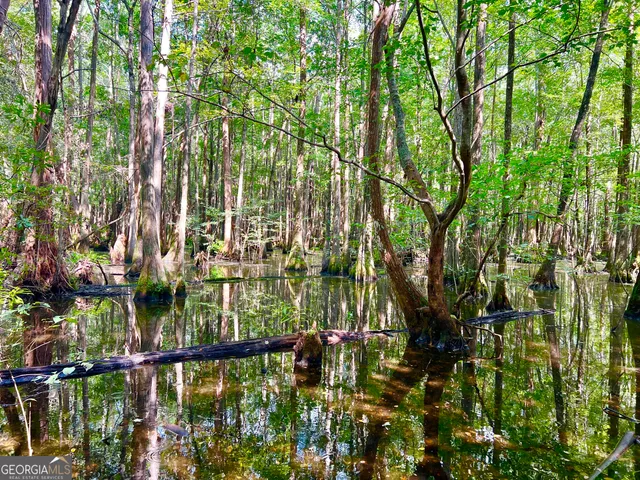 a view of swimming pool from a lake view