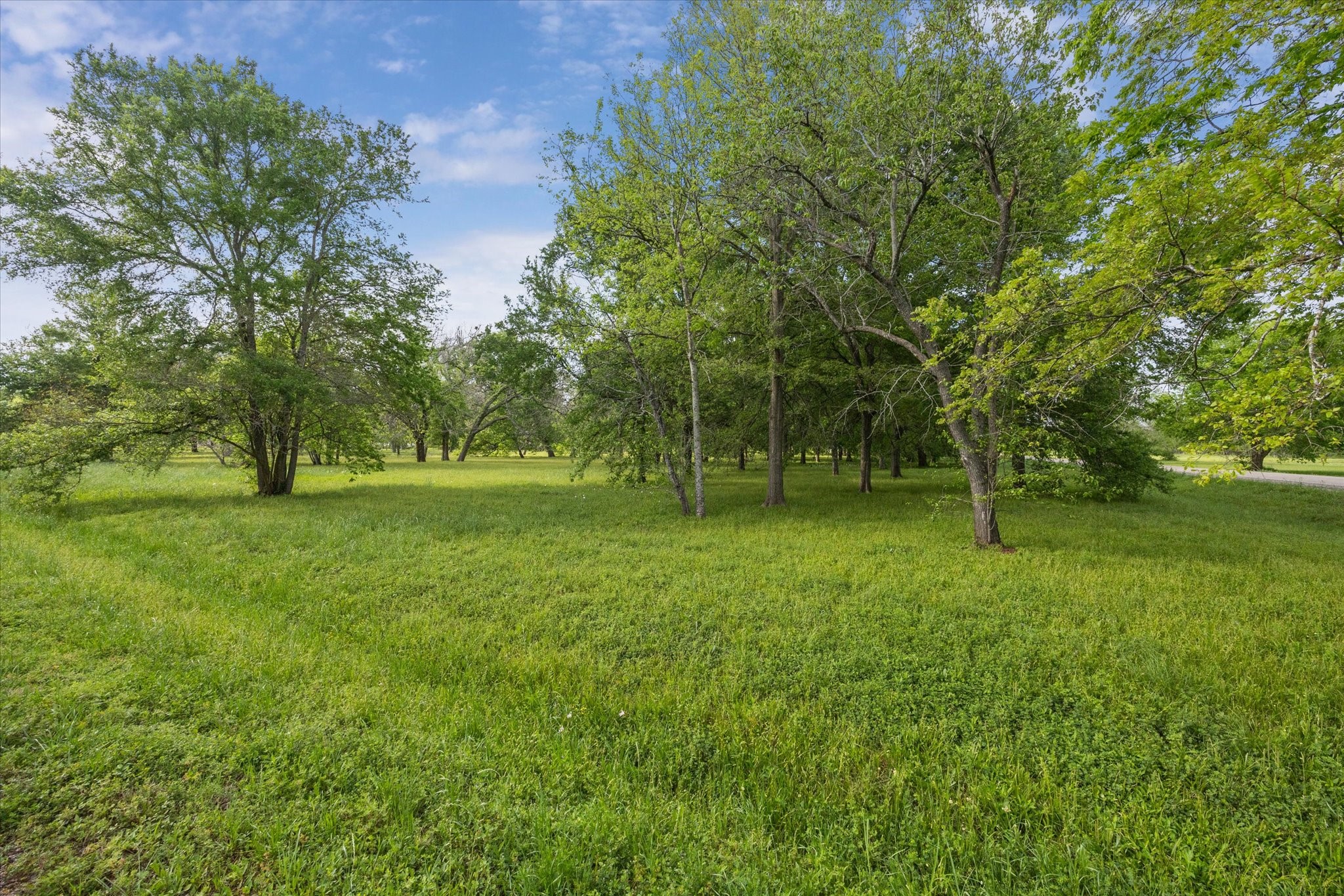 Lot 5-tbd Lot 5-tbd Cheyenne Road Wallis, TX 77485 - Photo 5 of 13 a view of outdoor space with green field and trees