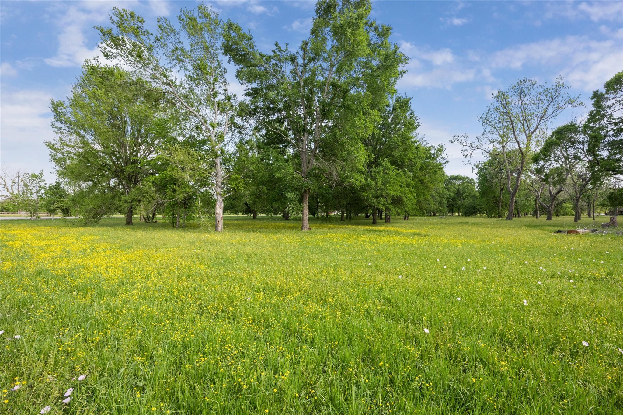 Lot 5-tbd Lot 5-tbd Cheyenne Road Wallis, TX 77485 - Photo 7 of 13 a view of a field with a trees in the background