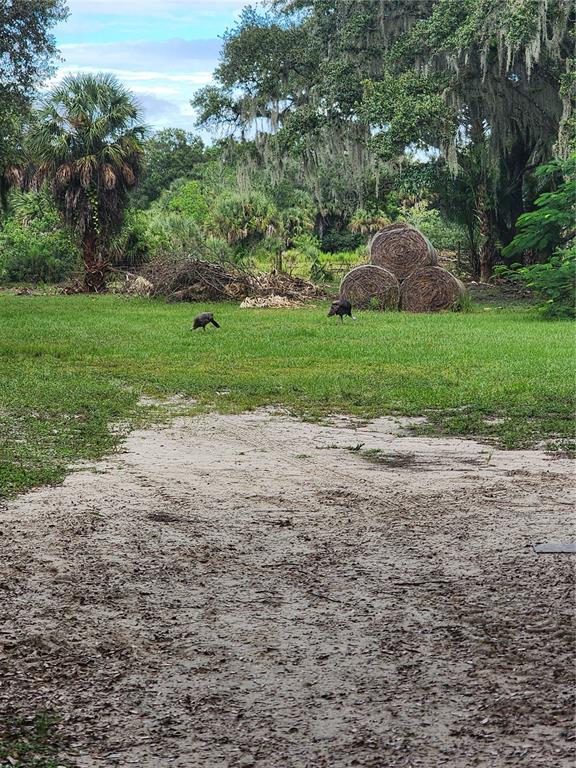 3945 County Road 833 Clewiston, FL 33440 - Photo 12 of 12 a view of a park