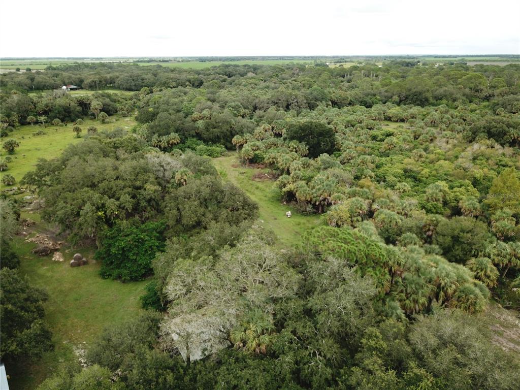 3945 County Road 833 Clewiston, FL 33440 - Photo 5 of 12 a view of a forest with a street