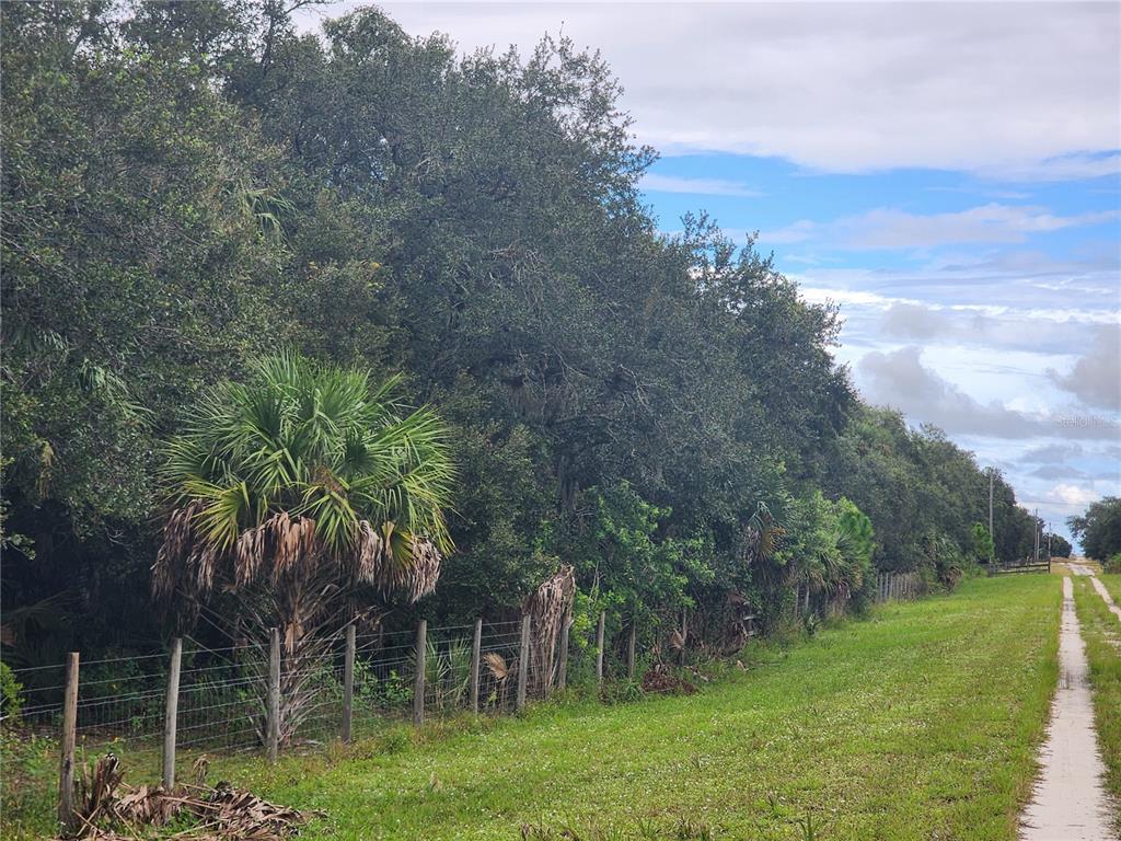 3945 County Road 833 Clewiston, FL 33440 - Photo 7 of 12 a view of a yard with a tree
