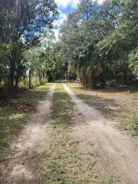 3945 County Road 833 Clewiston, FL 33440 - Photo 8 of 12 a view of a yard with large trees