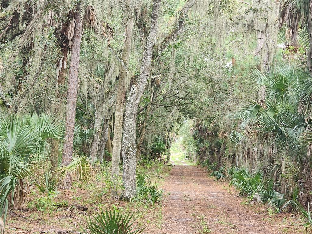3945 County Road 833 Clewiston, FL 33440 - Photo 9 of 12 a pathway of a yard