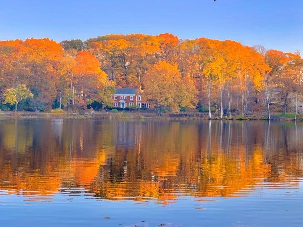 100 Berkshire Road Newton, MA 02460 - Photo 4 of 42 Gallery Image 4