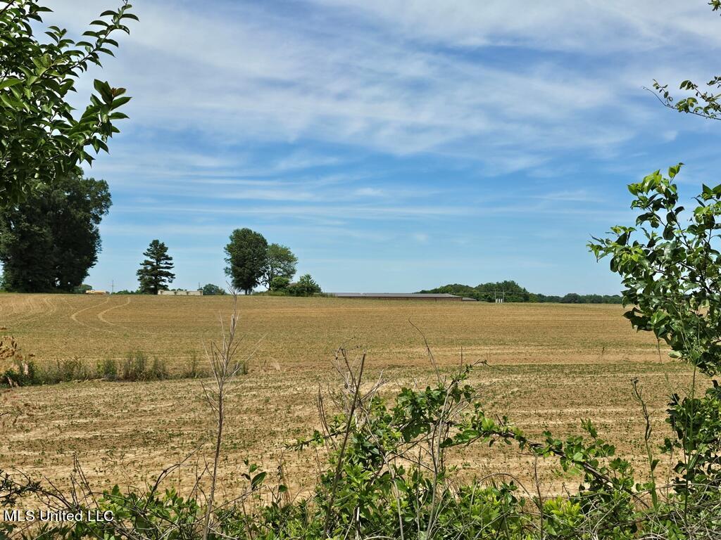 Shands Bottom Road Road Senatobia, MS 38668 - Photo 2 of 4 Shands Bottom Road 4