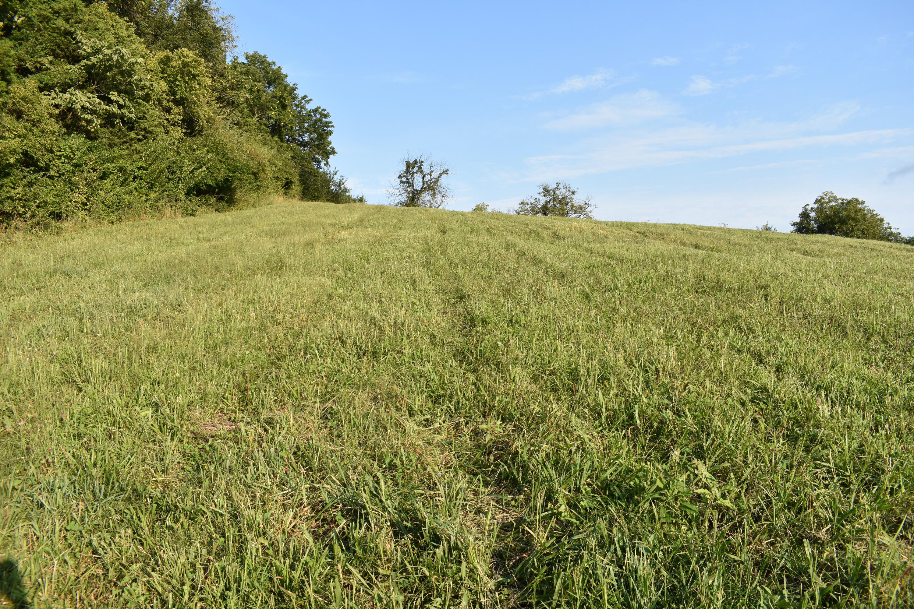 2136 Cole Road Winchester, KY 40391 - Photo 7 of 11 DSC_0476